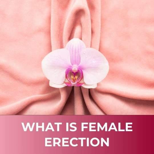 What IS Female Erection