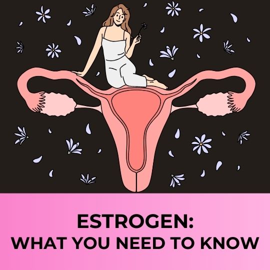 The Role of Estrogen in the Menstrual Cycle