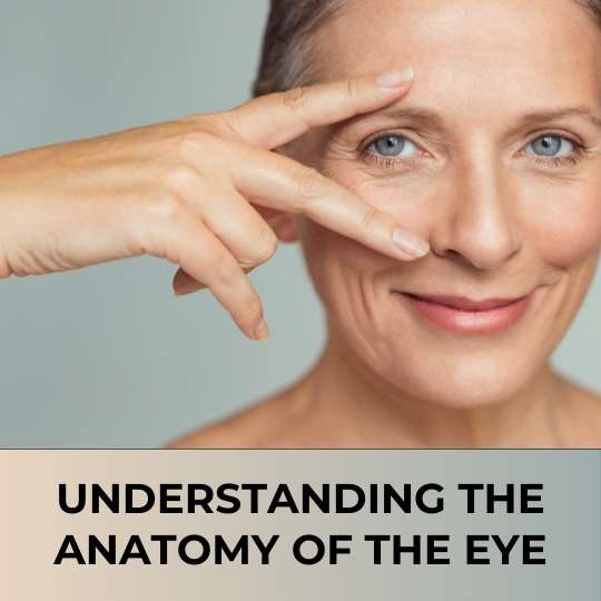 UNDERSTANDING THE ANATOMY OF THE EYE AND HOW IT WORKS