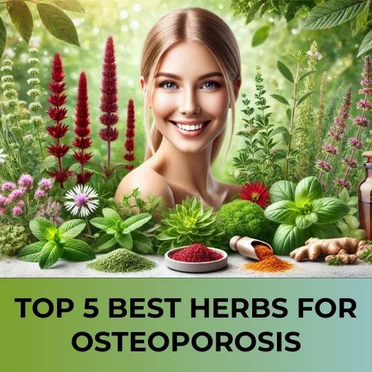 Top 5 Best Herbs for Osteoporosis