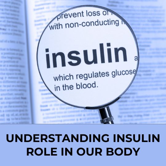 Understanding Insulin Role In Our Body