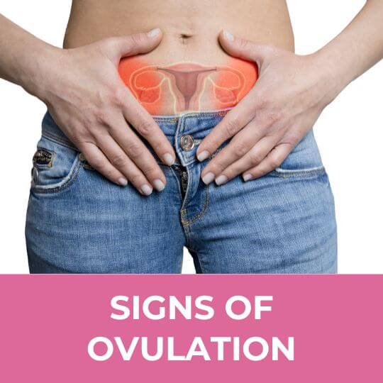Signs you are ovulating