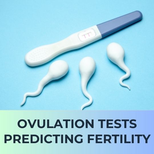 PREDICTING FERTILITY WITH PRECISION: THE POWER OF OVULATION TESTS