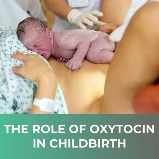 The Role of Oxytocin in Childbirth