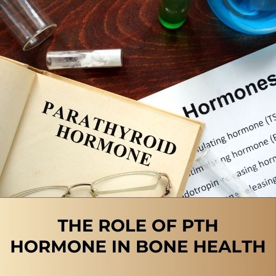 The Role of PTH Hormone in Bone Health