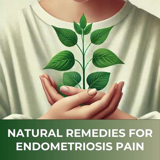 Natural Remedies for Endometriosis Pain
