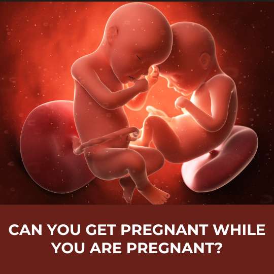 Can you get pregnant while you are pregnant?