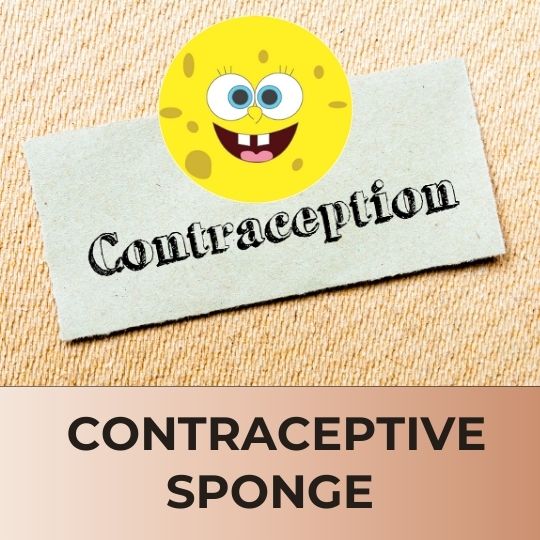 contraceptive sponge: What you need to know