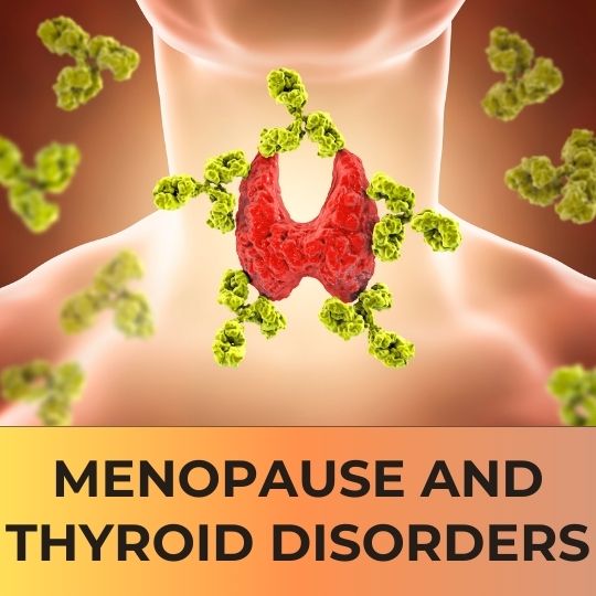 DECODING THE COMPLEX RELATIONSHIP BETWEEN MENOPAUSE AND THYROID ISSUES