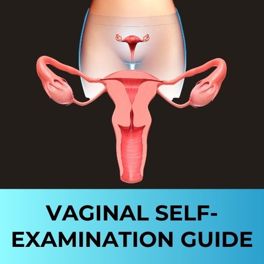 Vaginal Self-Examination Guide