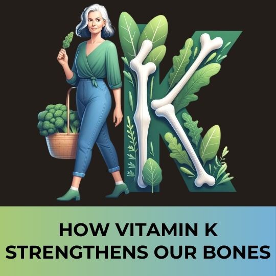 How Vitamin K Strengthens Our Bones